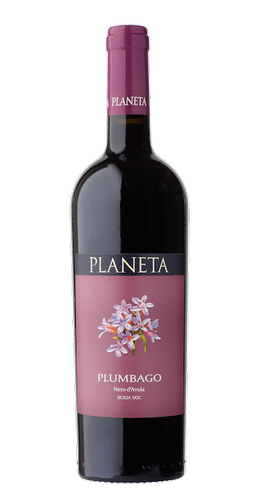 Plumbago-1.png